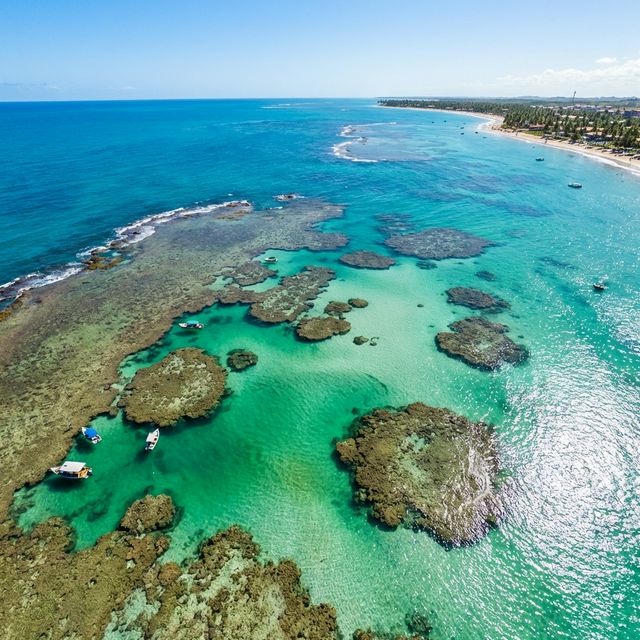 Piscinas Naturais de Maragogi na Lua Cheia: Tudo que Você Precisa Saber